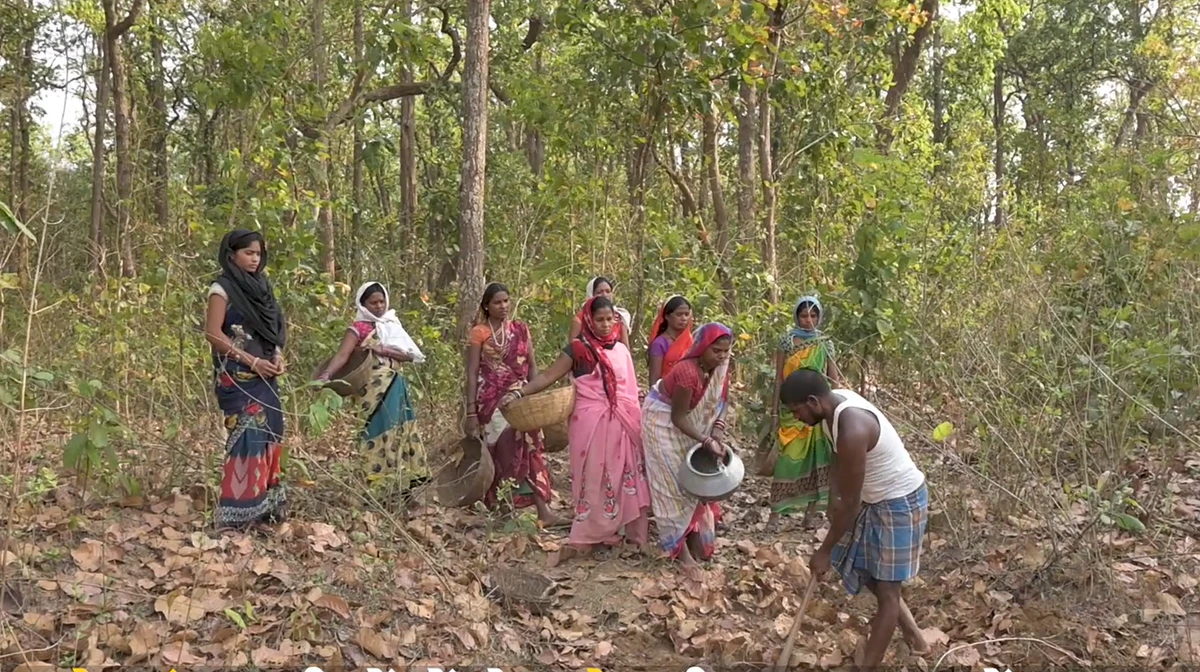 Biodiversity and Wildlife Conservation