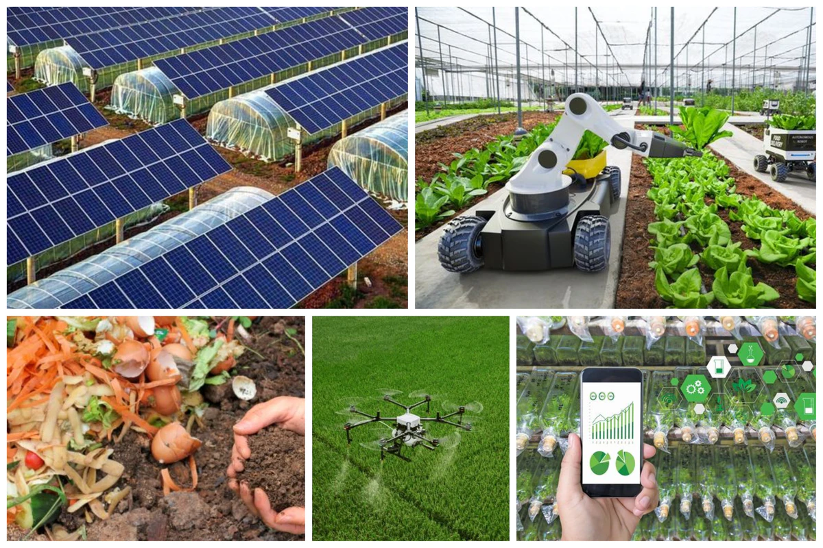 Sustainable Agriculture & Livelihoods - image 1